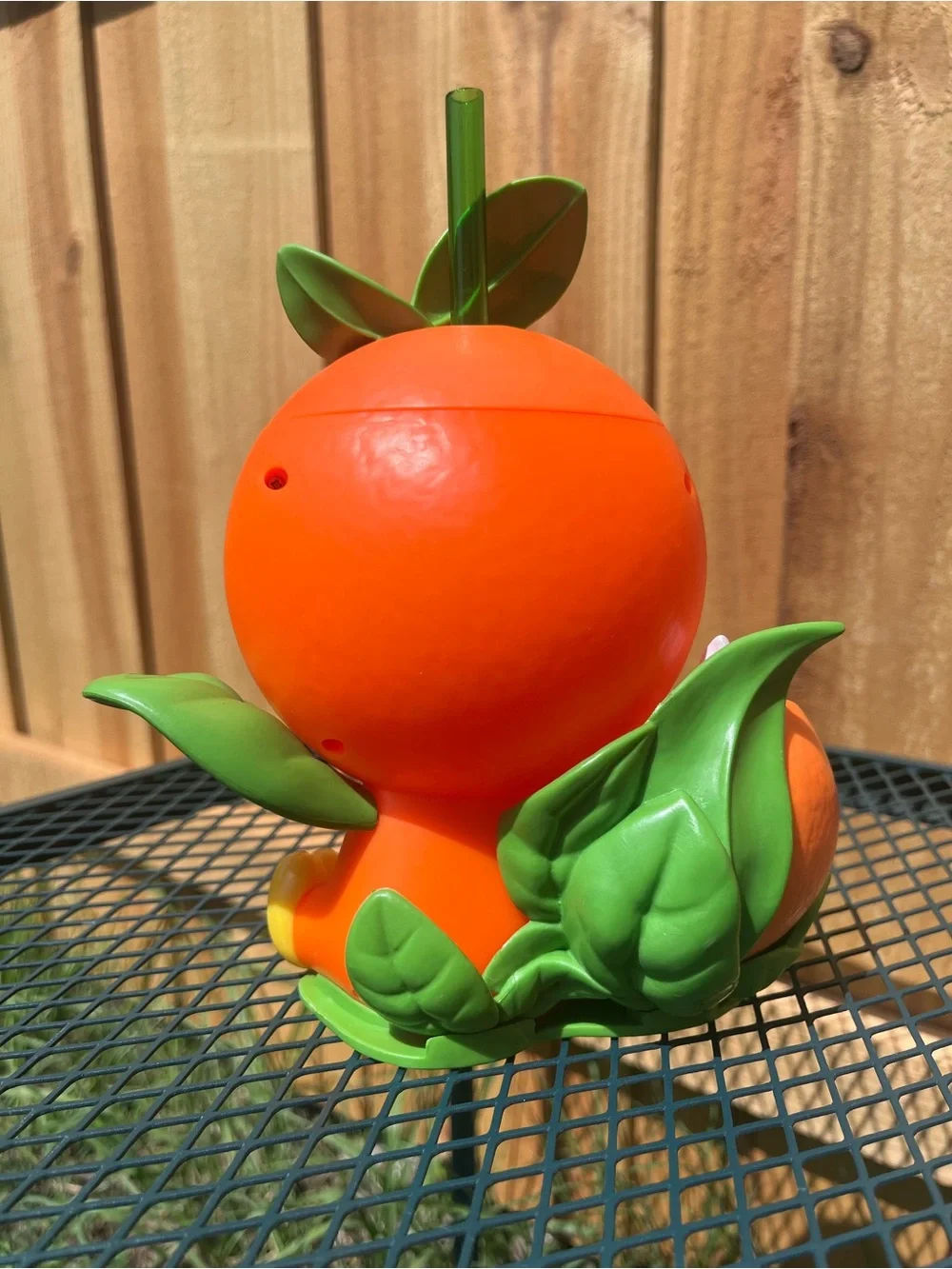 Disney bird leaf as